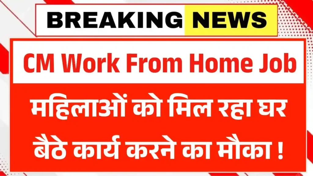 CM Work From Home Job