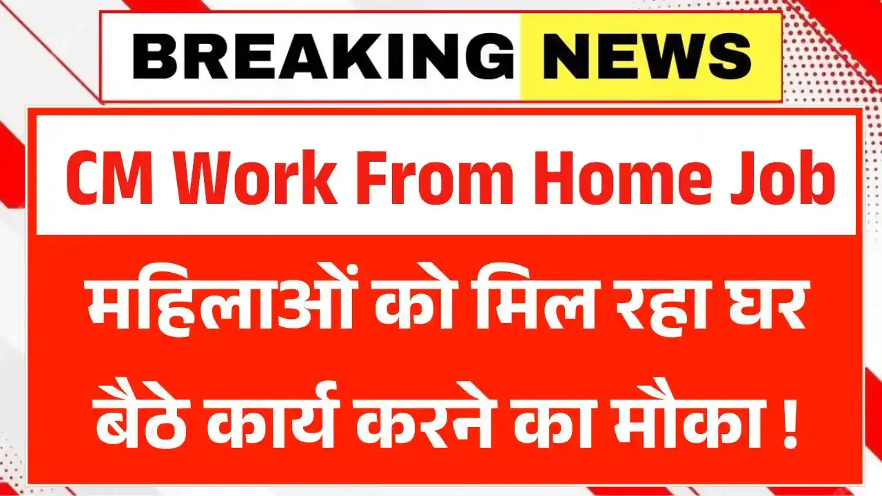 CM Work From Home Job